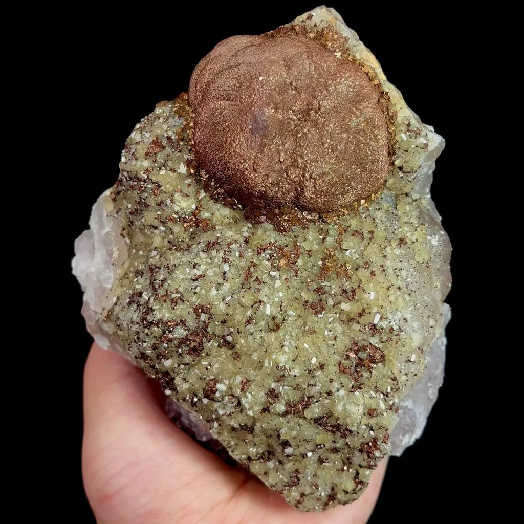 specimen video