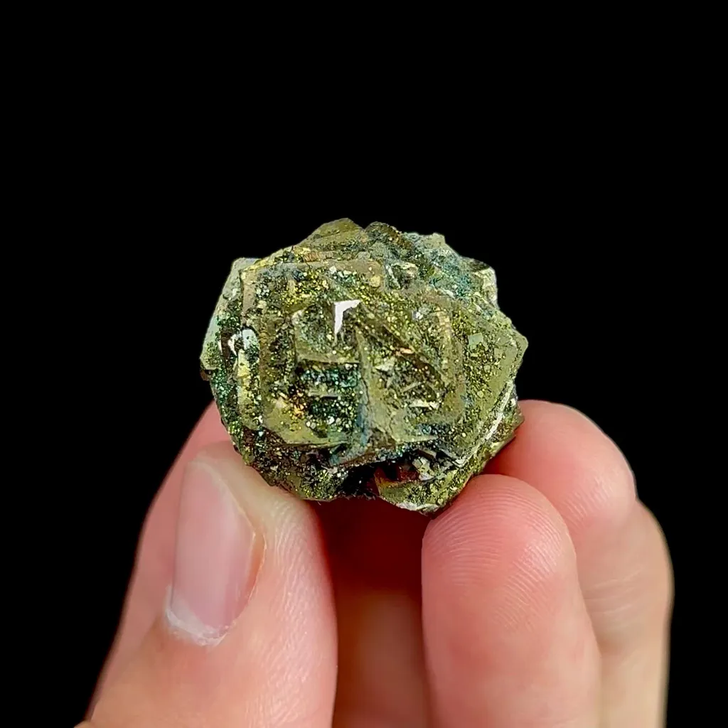 specimen video
