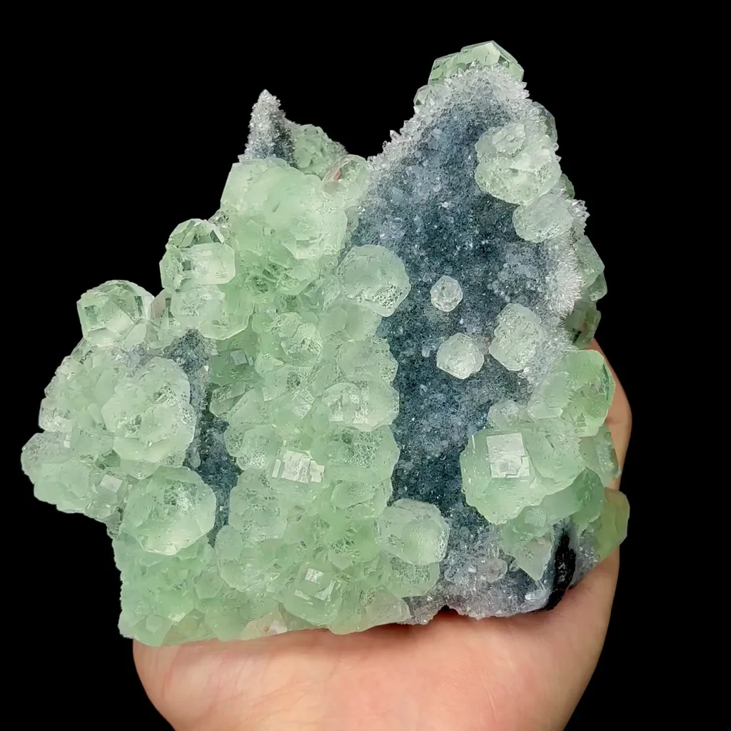 specimen video
