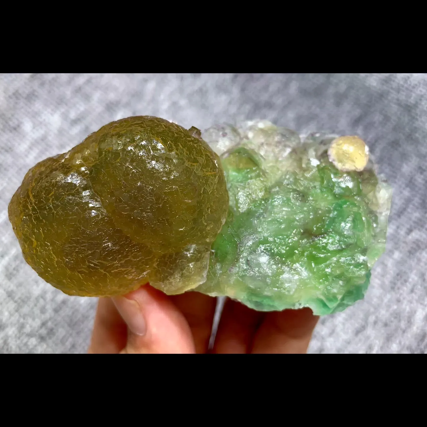 specimen video