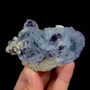 specimen video