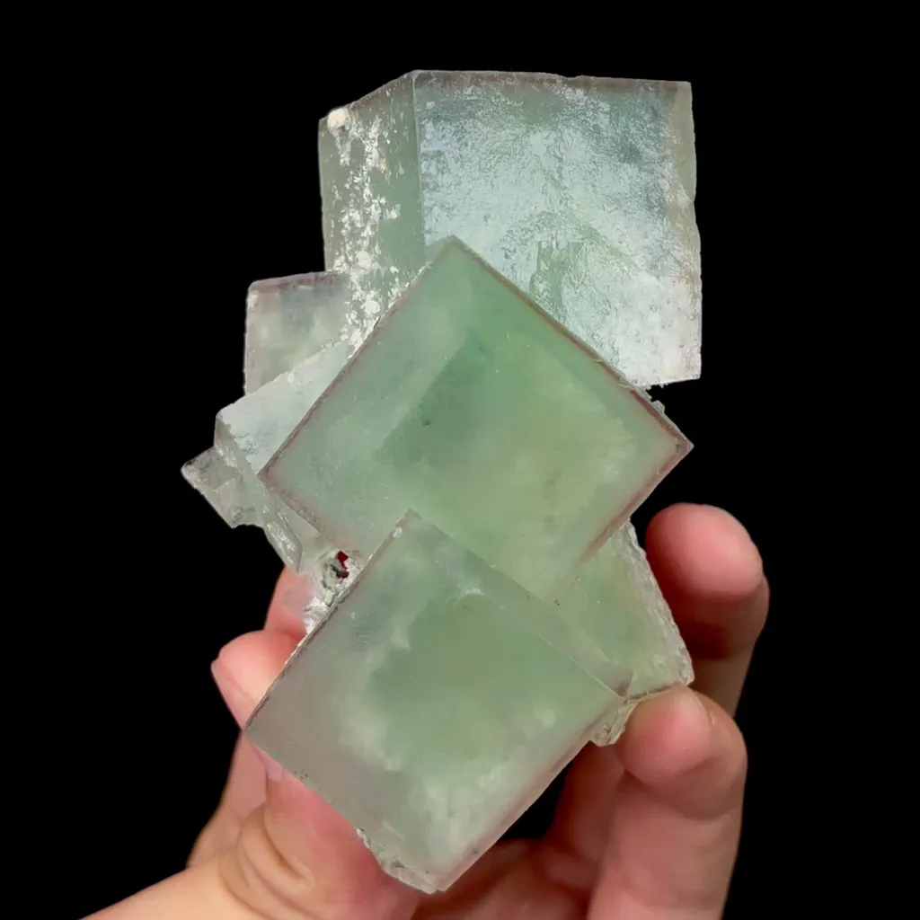 specimen video