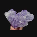 specimen video
