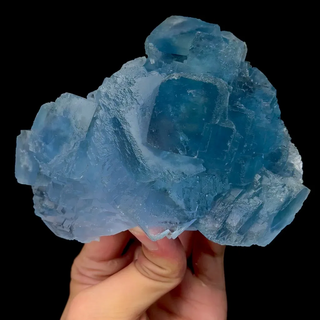 specimen video