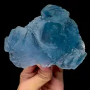 specimen video