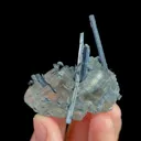 specimen video