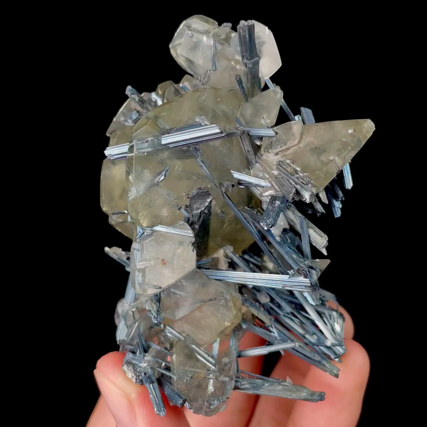 specimen video