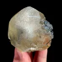 specimen video