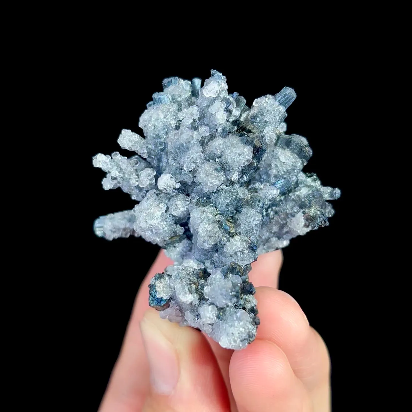 specimen video