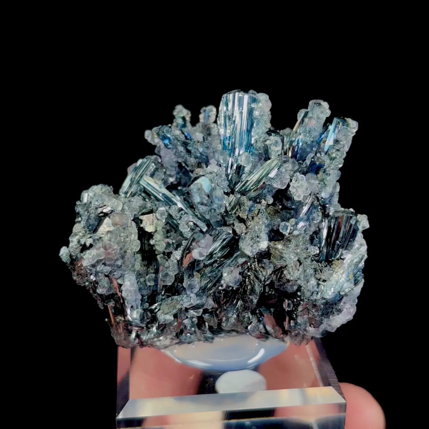 specimen video