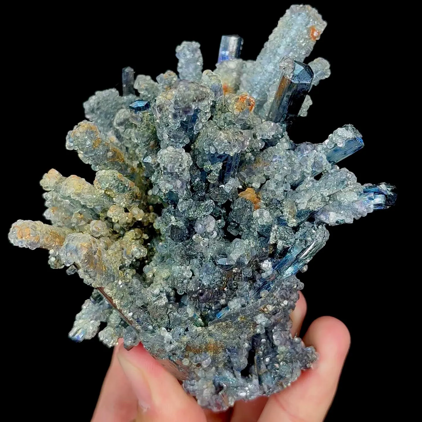 specimen video
