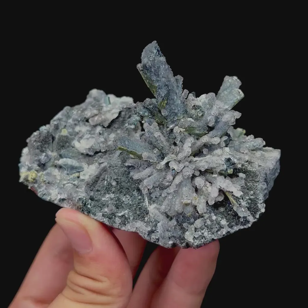 specimen video