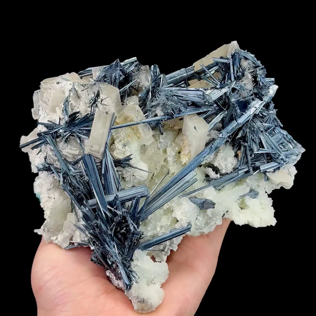 specimen video