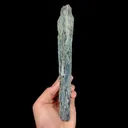 specimen video