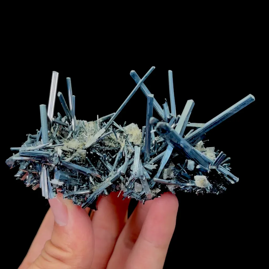 specimen video