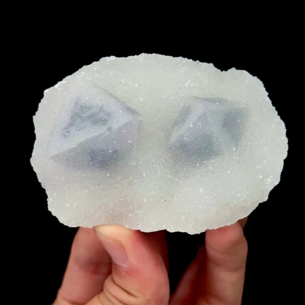 specimen video