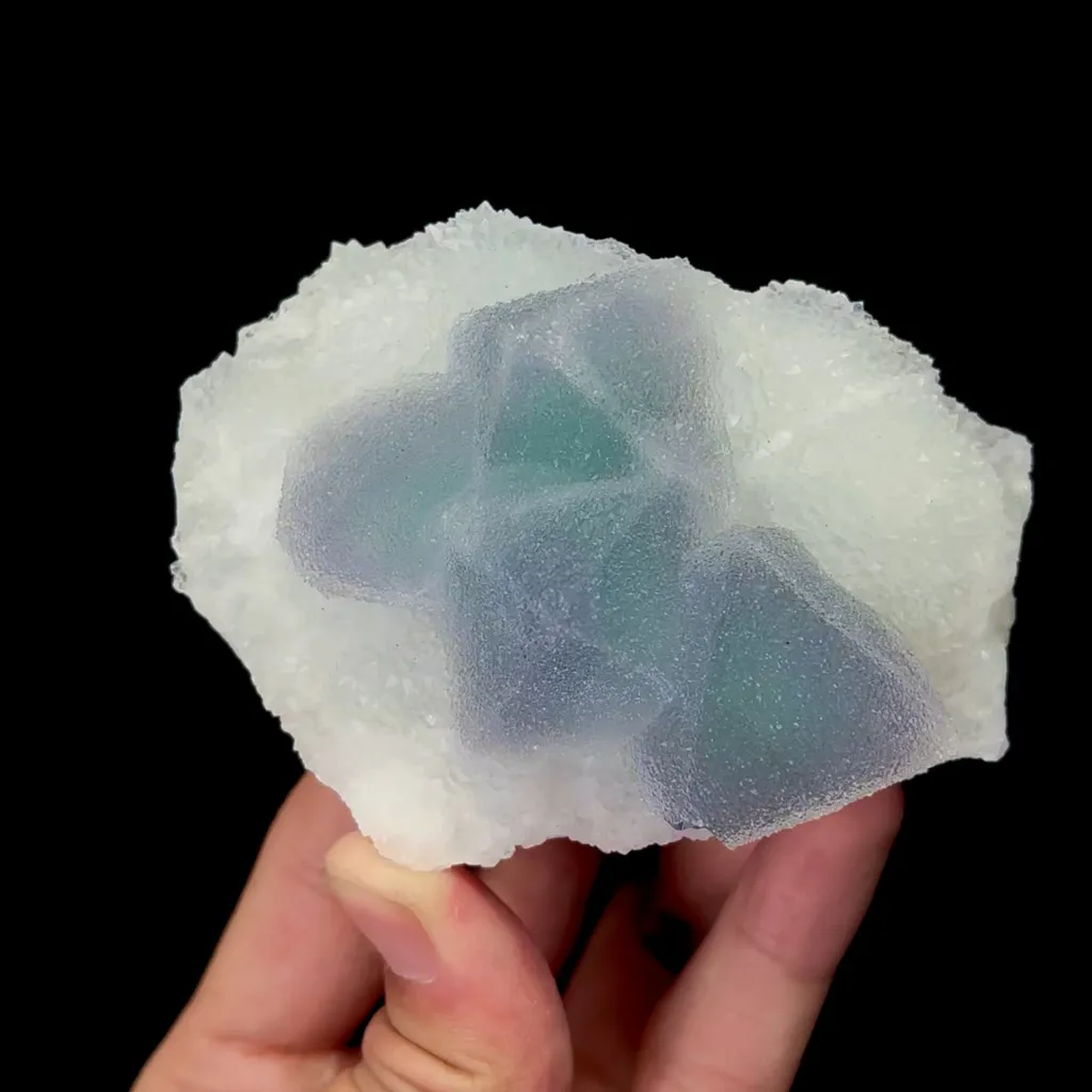 specimen video