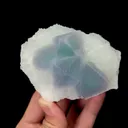 specimen video