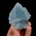 specimen video