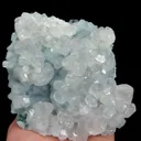 specimen video