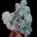 specimen video