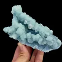 specimen video