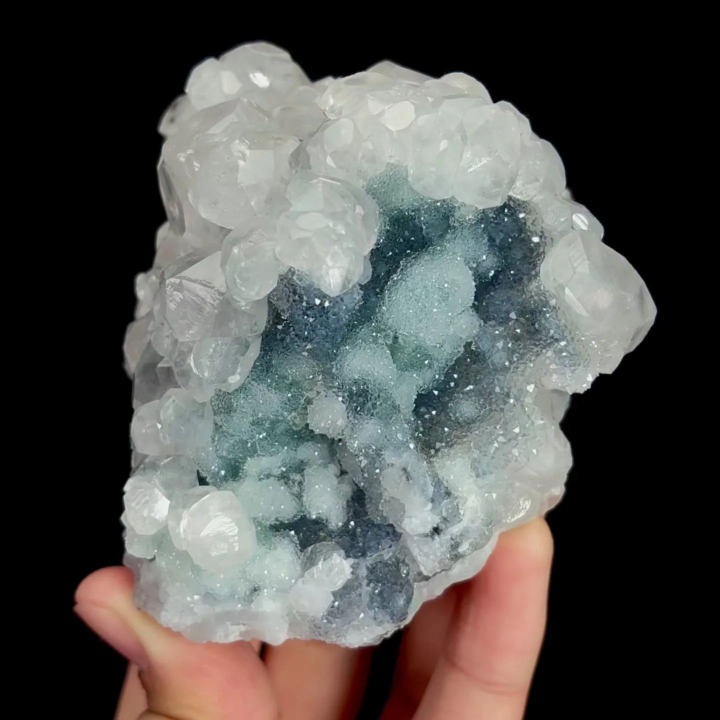 specimen video