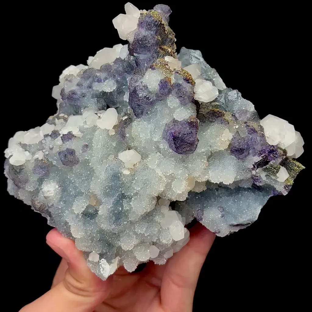 specimen video