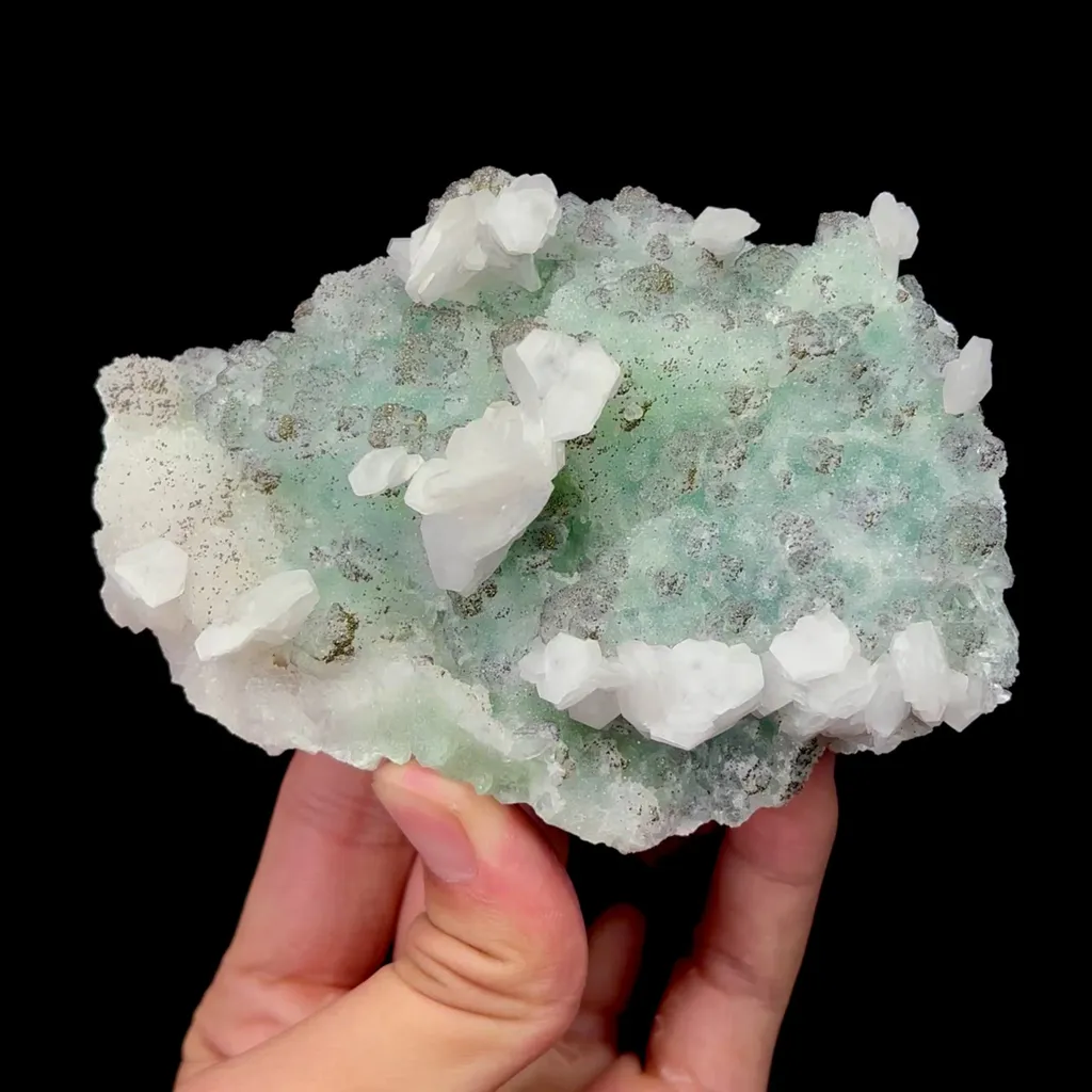 specimen video