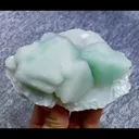 specimen video