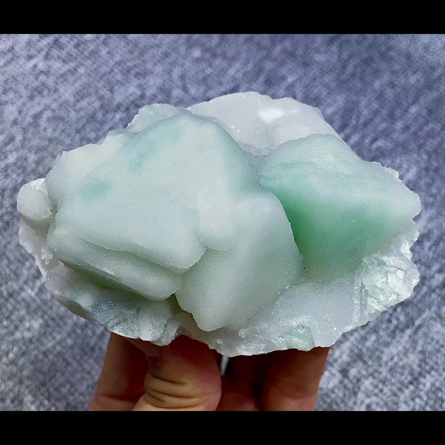 specimen video