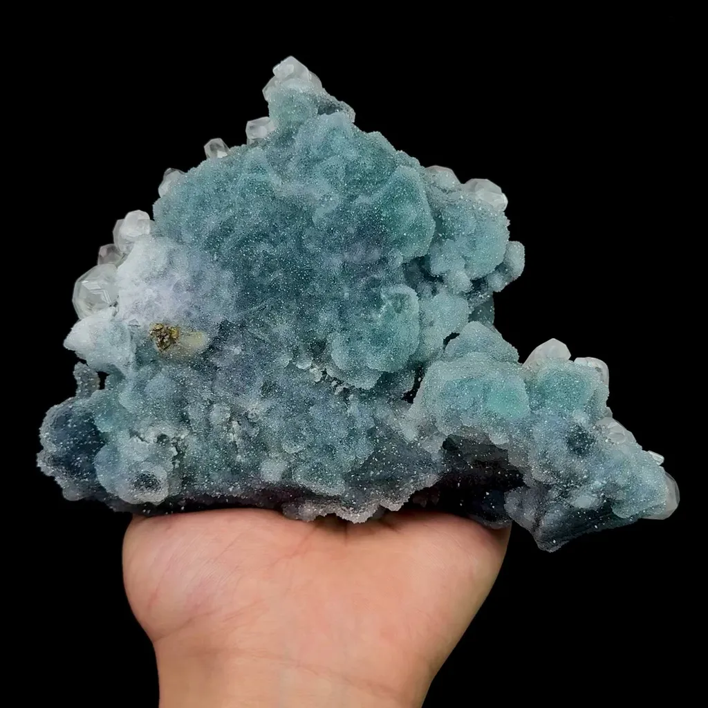 specimen video