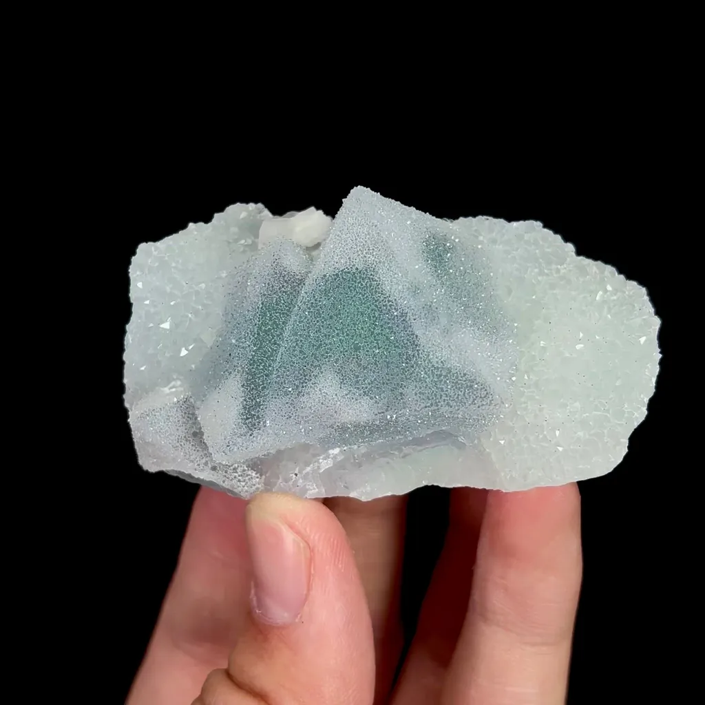 specimen video