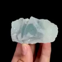 specimen video