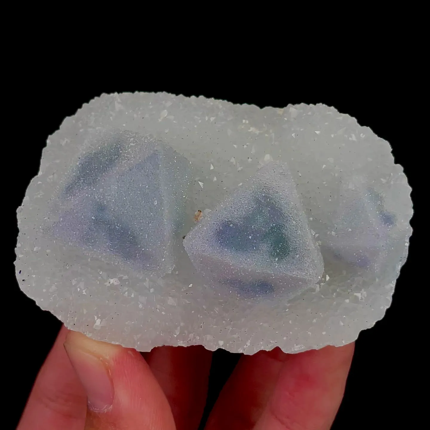 specimen video