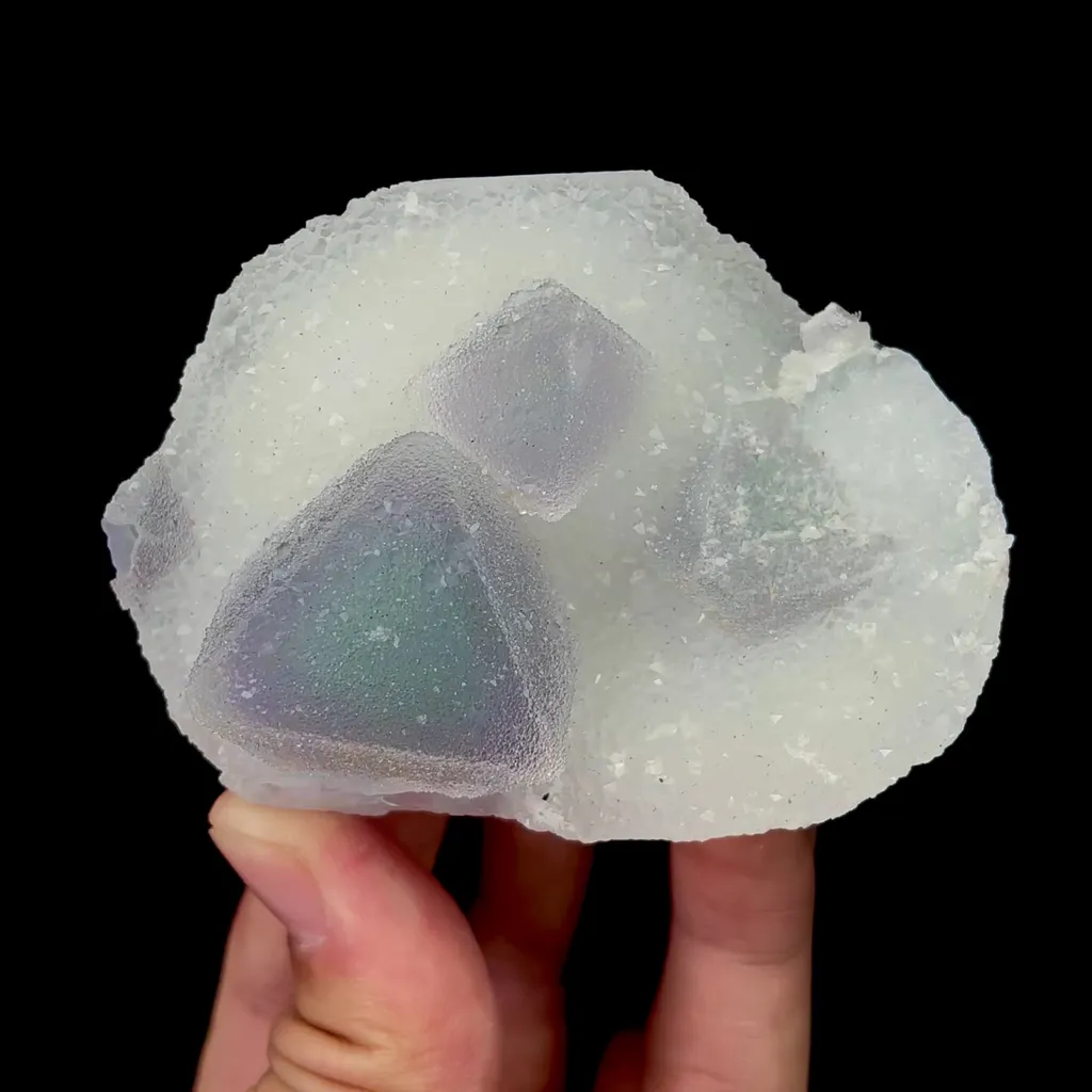 specimen video
