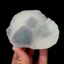 specimen video