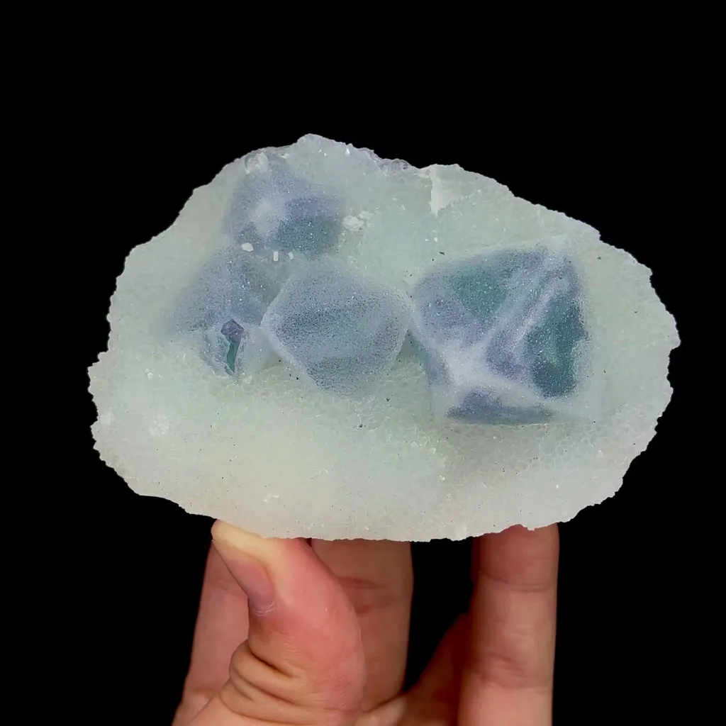 specimen video