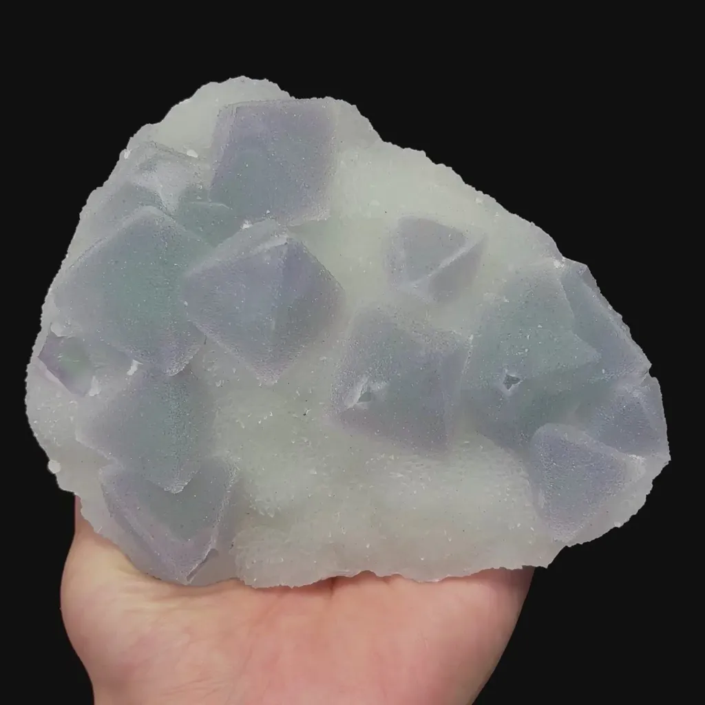specimen video