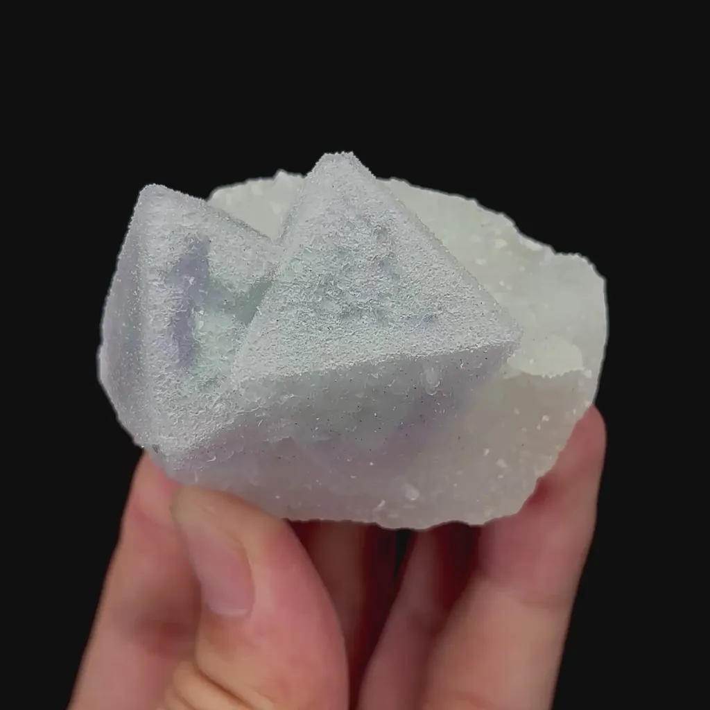specimen video