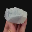 specimen video
