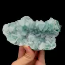 specimen video