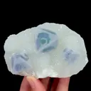 specimen video