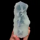 specimen video