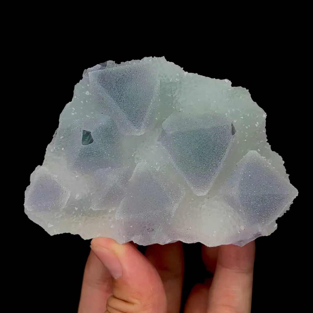 specimen video