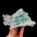 specimen video