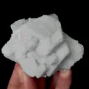 specimen video