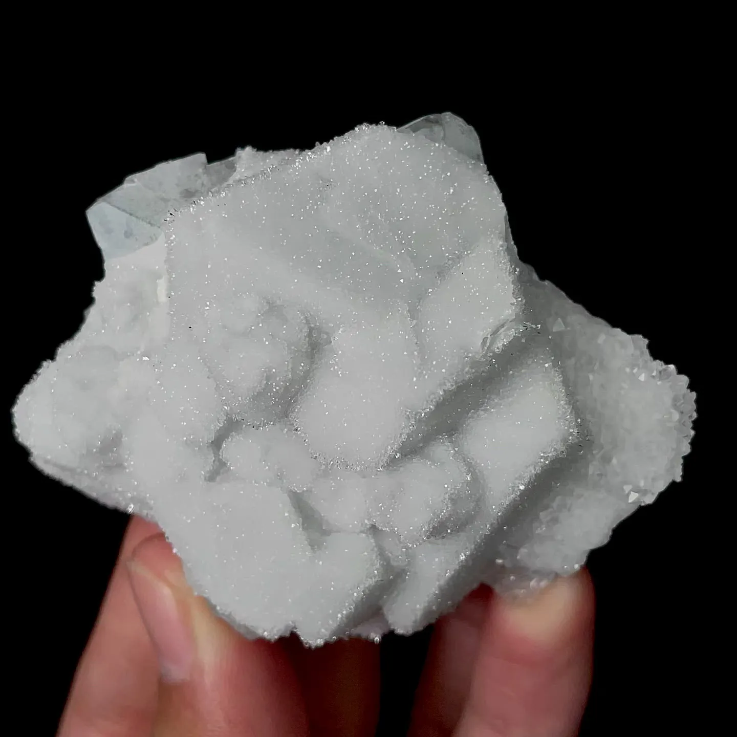 specimen video