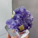 Natural Tanzanite and Yellow Fluorite coexist comes from Fujian,China 105*30*70MM - image 4