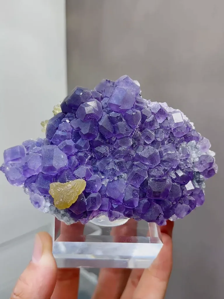 Natural Tanzanite and Yellow Fluorite coexist comes from Fujian,China 105*30*70MM image